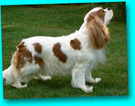 Mathilda-Emperix First Hit of Baccara