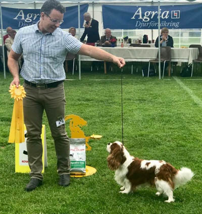 Champion Emperix Merrick 2017