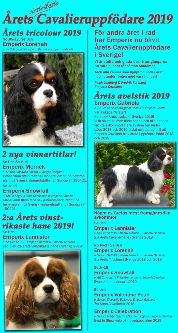 Emperix - rets uppfdare 2019