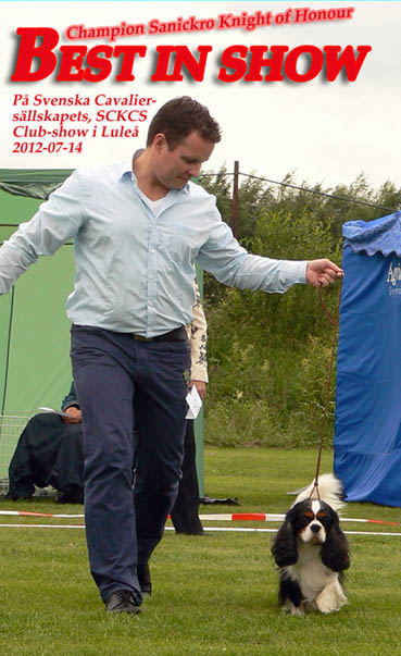 BIS i Lule 2012